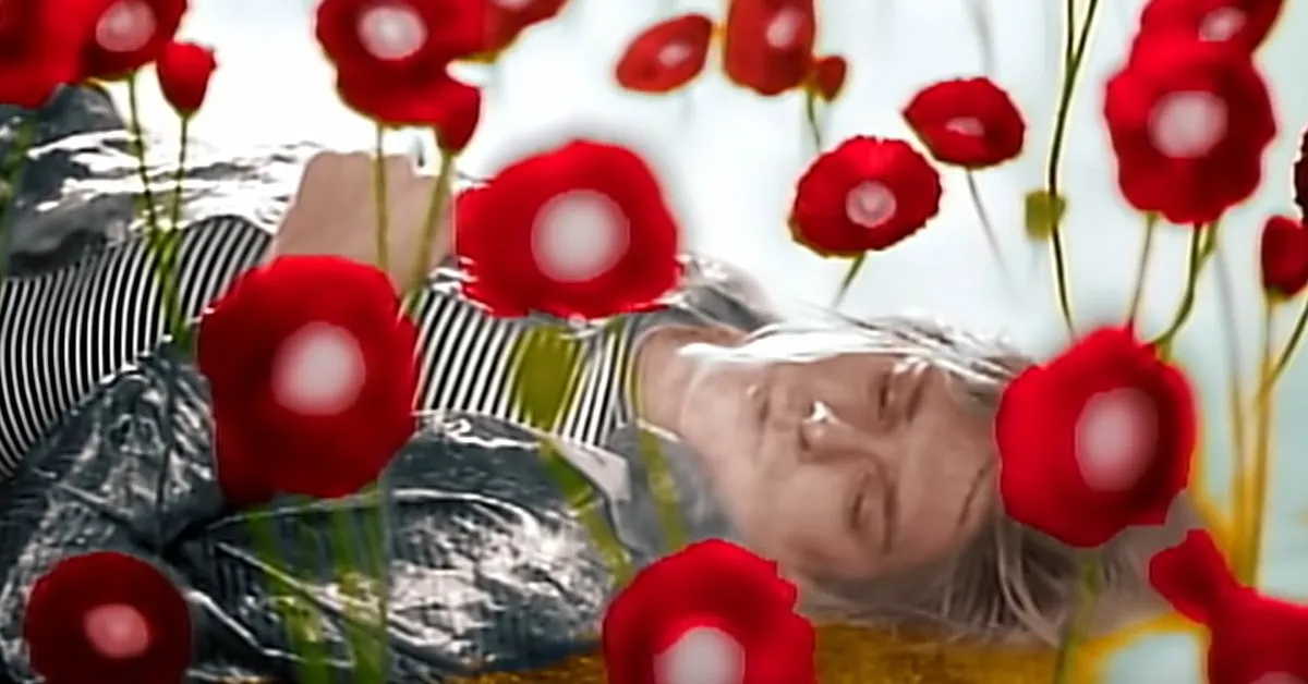 Kurt Cobain Poppies