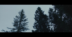 But I Feel It Still…