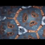 The Places Where All the Things Meet