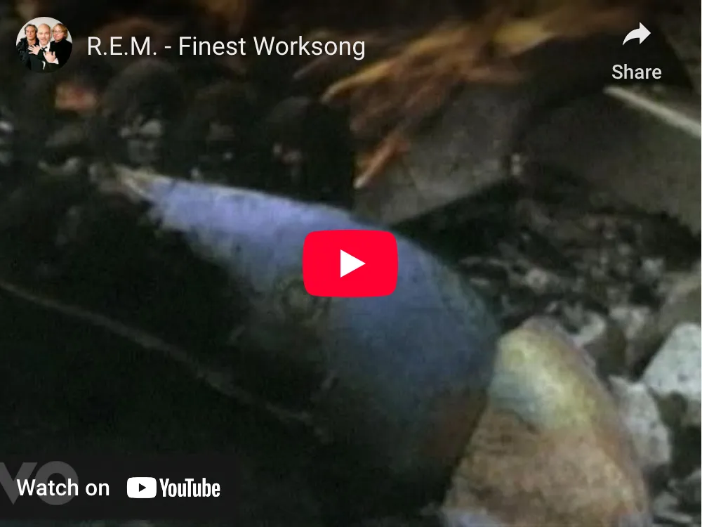 Finest Worksong video screenshot